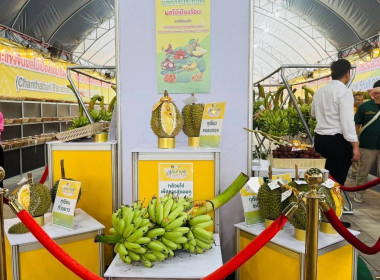 พิธีเปิดงาน “จันทบุรีสรวงสวรรค์แห่งผลไม้เมืองร้อน” ( ... พารามิเตอร์รูปภาพ 8