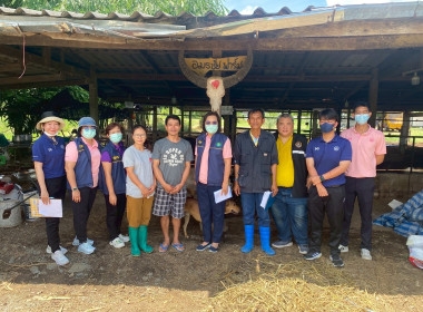 ลงพื้นที่ตรวจสอบปริมาณน้ำนมโคและประชากรโคนมทั้งระบบ พารามิเตอร์รูปภาพ 2