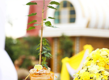 พิธีปลูก "พระศรีมหาโพธิทศมราชบพิตร" พารามิเตอร์รูปภาพ 1