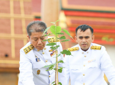 พิธีปลูก "พระศรีมหาโพธิทศมราชบพิตร" พารามิเตอร์รูปภาพ 8