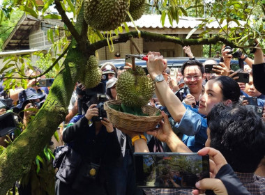 นายกรัฐมนตรีลงพื้นที่จังหวัดจันทบุรี พบปะพี่น้องเกษตรกร พารามิเตอร์รูปภาพ 15