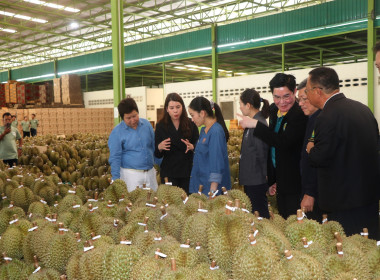 นายกรัฐมนตรีลงพื้นที่จังหวัดจันทบุรี พบปะพี่น้องเกษตรกร พารามิเตอร์รูปภาพ 5