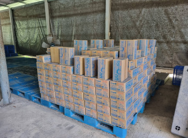 ตรวจเยี่ยมและให้คำแนะนำเกี่ยวกับกระบวนการควบคุมภายใน พารามิเตอร์รูปภาพ 7