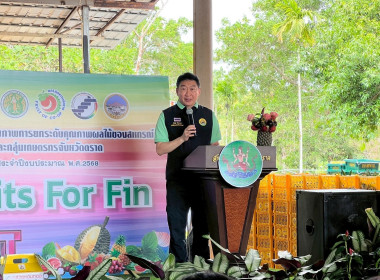โครงการเพิ่มศักยภาพการยกระดับคุณภาพผลไม้ของสหกรณ์และกลุ่มเกษตรกร จังหวัดตราด (Fruits For Fin) ... พารามิเตอร์รูปภาพ 13