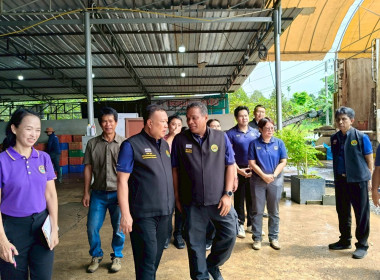 โครงการเพิ่มศักยภาพการยกระดับคุณภาพผลไม้ของสหกรณ์และกลุ่มเกษตรกร จังหวัดตราด (Fruits For Fin) ... พารามิเตอร์รูปภาพ 10