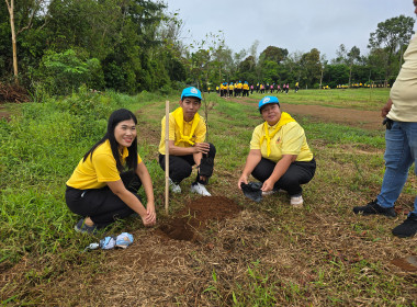 กิจกรรมจิตอาสา และกิจกรรมปลูกต้นไม้ พารามิเตอร์รูปภาพ 3