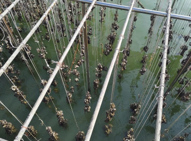 ประชุมติดตามผลการดำเนินงานตามแผนการตรวจราชการของผู้ตรวจราชการกระทรวงเกษตรและสหกรณ์ ประจำปีงบประมาณ พ.ศ.2568 ... พารามิเตอร์รูปภาพ 1