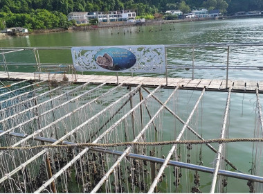 ประชุมติดตามผลการดำเนินงานตามแผนการตรวจราชการของผู้ตรวจราชการกระทรวงเกษตรและสหกรณ์ ประจำปีงบประมาณ พ.ศ.2568 ... พารามิเตอร์รูปภาพ 2