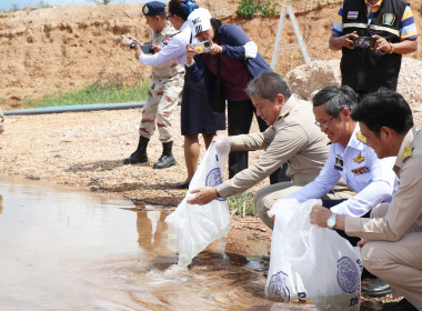 พิธีปล่อยพันธุ์สัตว์น้ำ พารามิเตอร์รูปภาพ 13