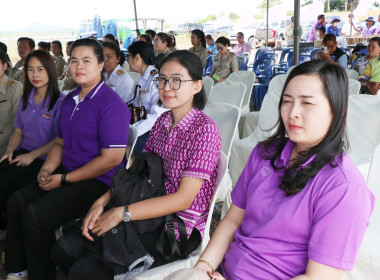 พิธีปล่อยพันธุ์สัตว์น้ำ พารามิเตอร์รูปภาพ 16