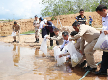 พิธีปล่อยพันธุ์สัตว์น้ำ พารามิเตอร์รูปภาพ 12