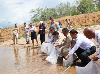 พิธีปล่อยพันธุ์สัตว์น้ำ พารามิเตอร์รูปภาพ 11