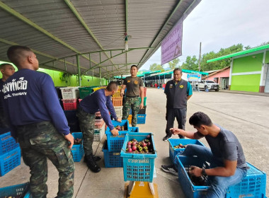 รวบรวมมังคุดเพื่อกระจายผลผลิตมังคุดออกนอกแหล่งผลิตจังหวัดจันทบุรี ... พารามิเตอร์รูปภาพ 5