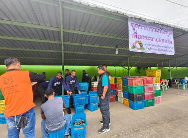 รวบรวมมังคุดเพื่อกระจายผลผลิตมังคุดออกนอกแหล่งผลิตจังหวัดจันทบุรี ... พารามิเตอร์รูปภาพ 4