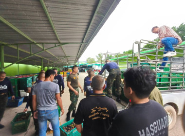 รวบรวมมังคุดเพื่อกระจายผลผลิตมังคุดออกนอกแหล่งผลิตจังหวัดจันทบุรี ... พารามิเตอร์รูปภาพ 7