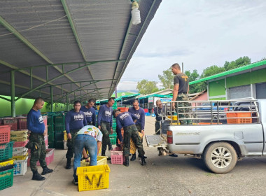 รวบรวมมังคุดเพื่อกระจายผลผลิตมังคุดออกนอกแหล่งผลิตจังหวัดจันทบุรี ... พารามิเตอร์รูปภาพ 1