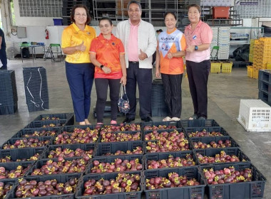 ลงพื้นที่ร่วมสนับสนุนการดำเนินการรวบรวมมังคุดดำคุณภาพดีของสหกรณ์การเกษตรเมืองขลุง จำกัด ... พารามิเตอร์รูปภาพ 6