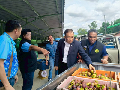 ลงพื้นที่จุดรวบรวมรับซื้อมังคุด ... พารามิเตอร์รูปภาพ 1