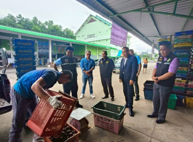 ลงพื้นที่จุดรวบรวมรับซื้อมังคุด ... พารามิเตอร์รูปภาพ 1