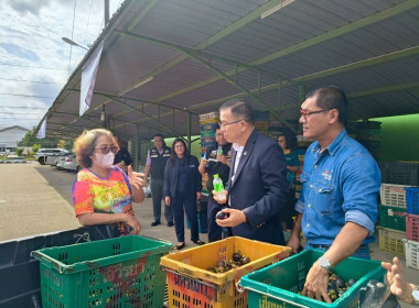ลงพื้นที่จุดรวบรวมรับซื้อมังคุด ... พารามิเตอร์รูปภาพ 5