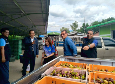 ลงพื้นที่จุดรวบรวมรับซื้อมังคุด ... พารามิเตอร์รูปภาพ 2