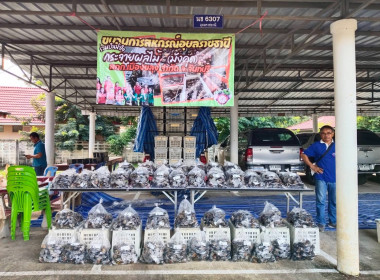 รวบรวมมังคุดดำคุณภาพดีจากสมาชิกสหกรณ์ฯ เพื่อกระจายผลผลิต พารามิเตอร์รูปภาพ 5