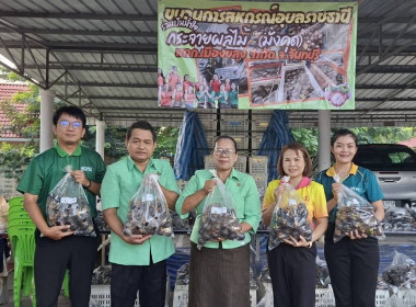 รวบรวมมังคุดดำคุณภาพดีจากสมาชิกสหกรณ์ฯ เพื่อกระจายผลผลิต พารามิเตอร์รูปภาพ 6