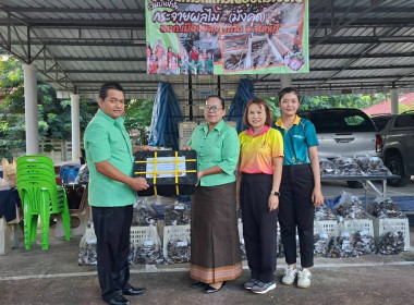 รวบรวมมังคุดดำคุณภาพดีจากสมาชิกสหกรณ์ฯ เพื่อกระจายผลผลิต พารามิเตอร์รูปภาพ 4