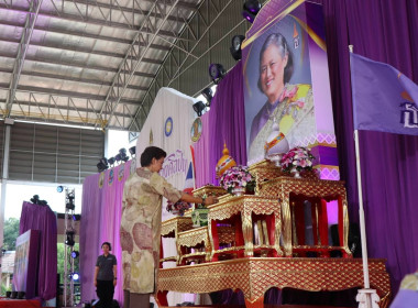 โครงการส่งเสริม ... พารามิเตอร์รูปภาพ 6