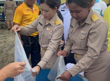 พิธีปล่อยพันธุ์สัตว์น้ำเฉลิมพระเกียรติฯ ... พารามิเตอร์รูปภาพ 6