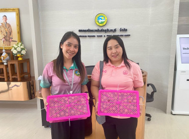 ร่วมกระจายผลผลิตลำไยจากสหกรณ์การเกษตรประตูป่า จำกัด พารามิเตอร์รูปภาพ 2