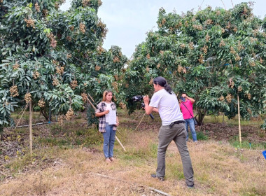 สังเกตการณ์การถ่ายทำการบริหารจัดการ ... พารามิเตอร์รูปภาพ 4