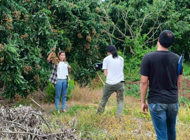 สังเกตการณ์การถ่ายทำการบริหารจัดการ ... พารามิเตอร์รูปภาพ 1