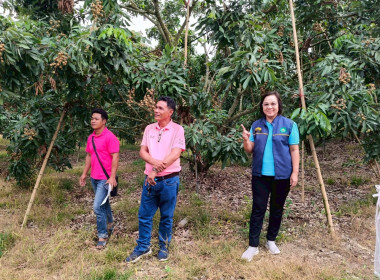 สังเกตการณ์การถ่ายทำการบริหารจัดการ ... พารามิเตอร์รูปภาพ 5