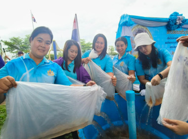 พิธีปล่อยพันธุ์สัตว์นำ้เนื่องในโอกาสวันเฉลิมพระชนมพรรษาสมเด็จพระนางเจ้าสิริกิติ์ พระบรมราชินีนาถ พระบรมราชชนนีพันปีหลวง ... พารามิเตอร์รูปภาพ 11