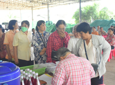 ประใหญ่สามัญประจำปี 2567 ของกลุ่มเกษตรกรทำสวนวังสรรพรส พารามิเตอร์รูปภาพ 5