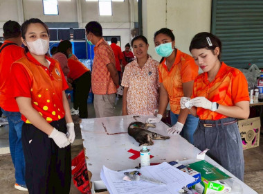 โครงการ "วันป้องกันโรคพิษสุนัขบ้าโลก ปี พ.ศ.2568" (World ... พารามิเตอร์รูปภาพ 5