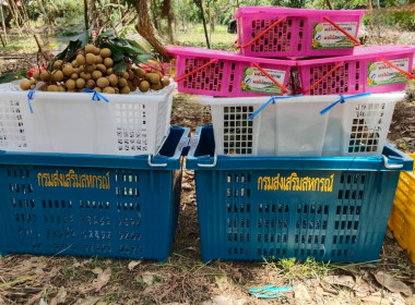 สัมภาษณ์ในรายการเกษตรวาไรตี้ หัวข้อ ... พารามิเตอร์รูปภาพ 1