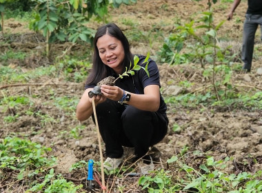 กิจกรรมบำรุงรักษาต้นไม้เนื่องในวันรักต้นไม้ประจำปีของชาติ ... พารามิเตอร์รูปภาพ 10