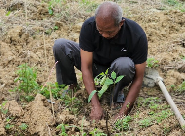 กิจกรรมบำรุงรักษาต้นไม้เนื่องในวันรักต้นไม้ประจำปีของชาติ ... พารามิเตอร์รูปภาพ 7