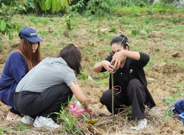 กิจกรรมบำรุงรักษาต้นไม้เนื่องในวันรักต้นไม้ประจำปีของชาติ ... พารามิเตอร์รูปภาพ 5