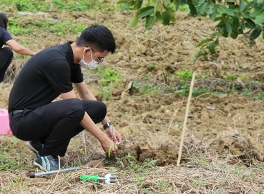 กิจกรรมบำรุงรักษาต้นไม้เนื่องในวันรักต้นไม้ประจำปีของชาติ ... พารามิเตอร์รูปภาพ 8