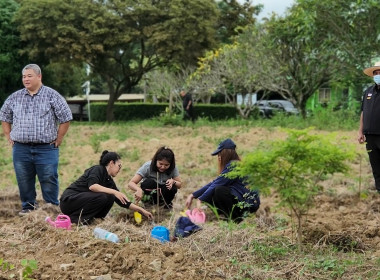 กิจกรรมบำรุงรักษาต้นไม้เนื่องในวันรักต้นไม้ประจำปีของชาติ ... พารามิเตอร์รูปภาพ 3