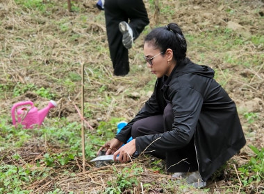 กิจกรรมบำรุงรักษาต้นไม้เนื่องในวันรักต้นไม้ประจำปีของชาติ ... พารามิเตอร์รูปภาพ 9