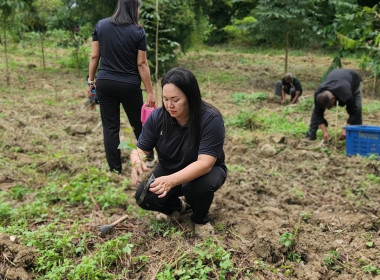 กิจกรรมบำรุงรักษาต้นไม้เนื่องในวันรักต้นไม้ประจำปีของชาติ ... พารามิเตอร์รูปภาพ 11