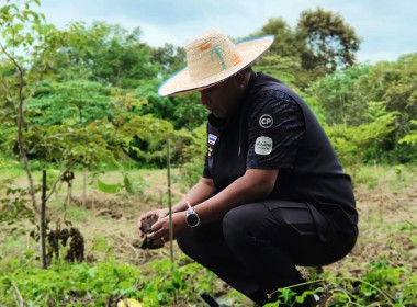 กิจกรรมบำรุงรักษาต้นไม้เนื่องในวันรักต้นไม้ประจำปีของชาติ ... พารามิเตอร์รูปภาพ 12