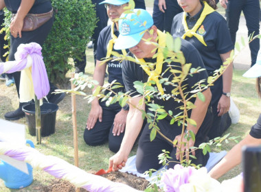 กิจกรรมจิตอาสาพัฒนาโรงเรียน สวนสาธารณะ พารามิเตอร์รูปภาพ 6