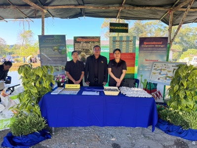 งานวันดินโลก 5 ธันวาคม ประจำปี 2568 พารามิเตอร์รูปภาพ 1