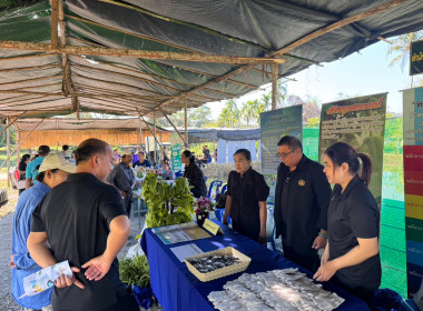 งานวันดินโลก 5 ธันวาคม ประจำปี 2568 พารามิเตอร์รูปภาพ 5