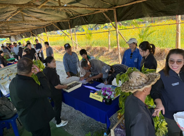 งานวันดินโลก 5 ธันวาคม ประจำปี 2568 พารามิเตอร์รูปภาพ 3